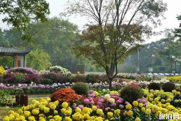 2020中科院武汉植物园开放了吗 门票预约指南