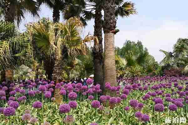 2020昆明植物园开放时间-区域-优惠政策