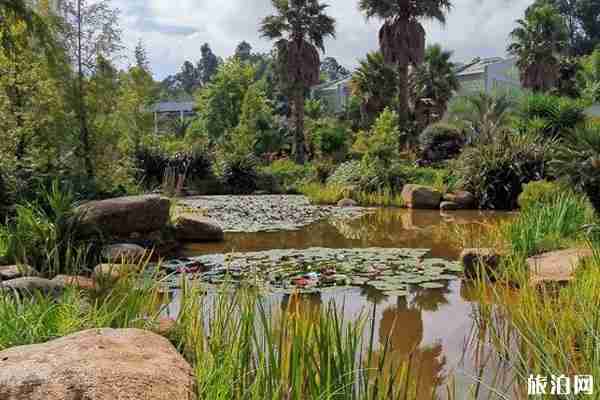 2020昆明植物园开放时间-区域-优惠政策