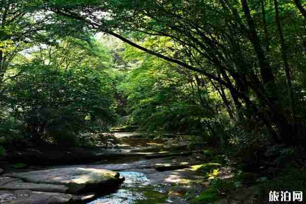 重庆春季踏青好去处 重庆春季踏青好去处