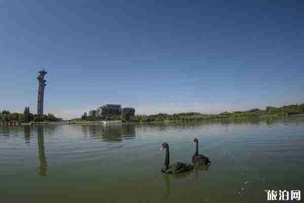 奧林匹克森林公園劃船多少錢-游玩攻略 奧林匹克森林公園劃船多少錢-游玩攻略