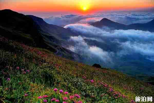 2020貴州各市景區(qū)優(yōu)惠活動匯總-活動時間及購票指南 2020貴州各市景區(qū)優(yōu)惠活動匯總-活動時間及購票指南