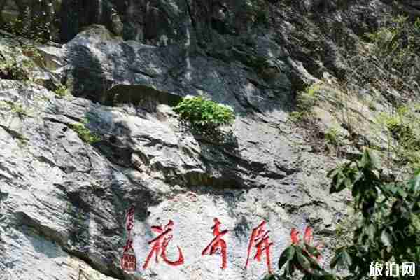 銀屏山牡丹花什么時候開2020