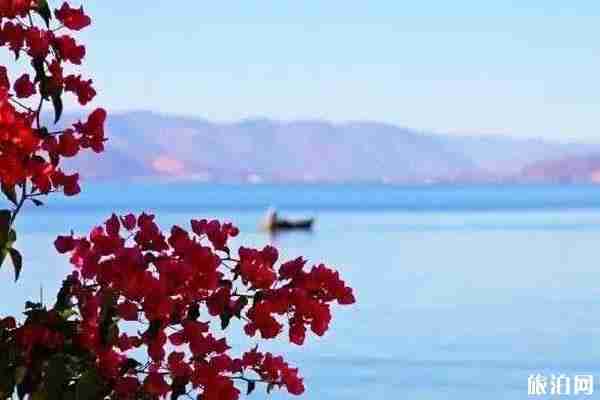 麗江旅游消費一般多少 麗江旅游多少錢夠