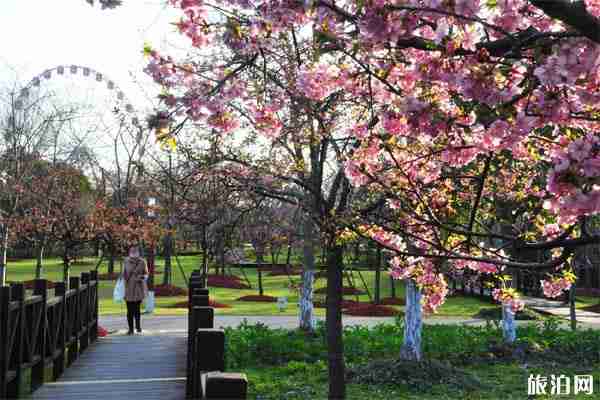 上海顧村公園門票預約-如何預約-攻略信息