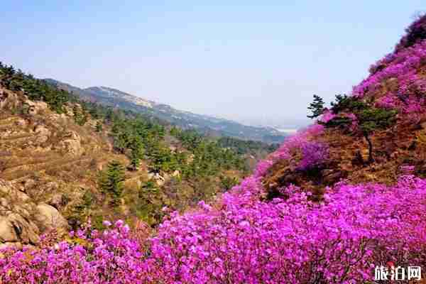 青島大珠山游玩攻略 門票-開放時間 青島大珠山游玩攻略 門票-開放時間