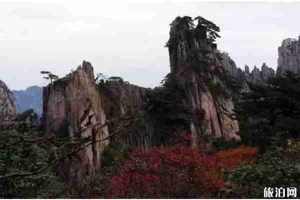 2020年黃山風景區門票預約攻略