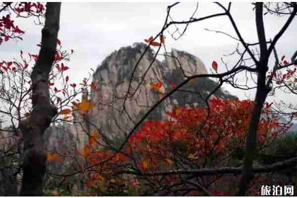 2020年黃山風景區門票預約攻略