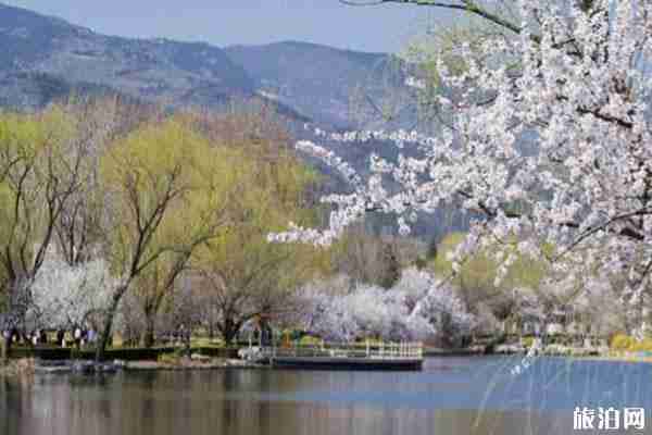 北京京郊春季旅游景點推薦 京郊春游攻略