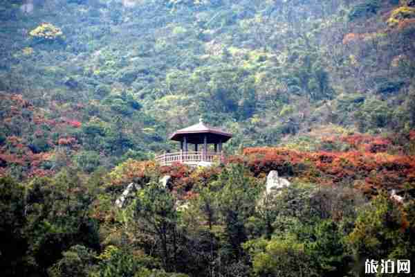 福清大姆山草場攻略 好玩嗎-開放時間