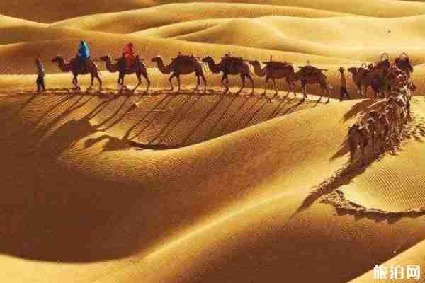 沙坡頭景區(qū)特色旅游項(xiàng)目 2020年門(mén)票優(yōu)惠政策