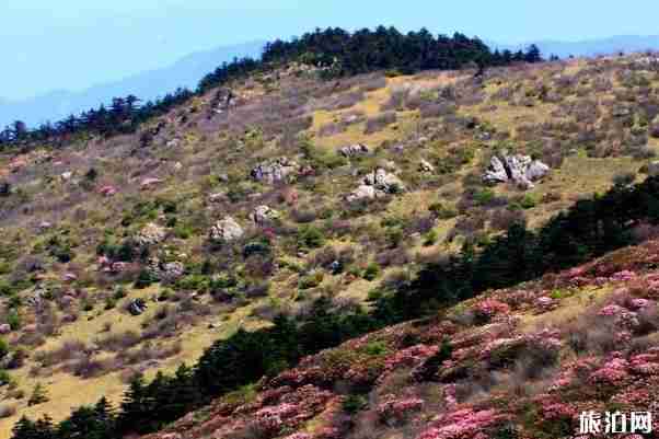 2020湖北景區(qū)優(yōu)惠政策 湖北景區(qū)免費開放政策