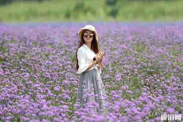 2020湖北景區(qū)優(yōu)惠政策 湖北景區(qū)免費開放政策