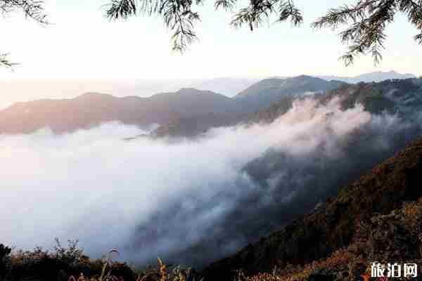 2020葛仙山景區開放了嗎-游玩攻略 2020葛仙山景區開放了嗎-游玩攻略