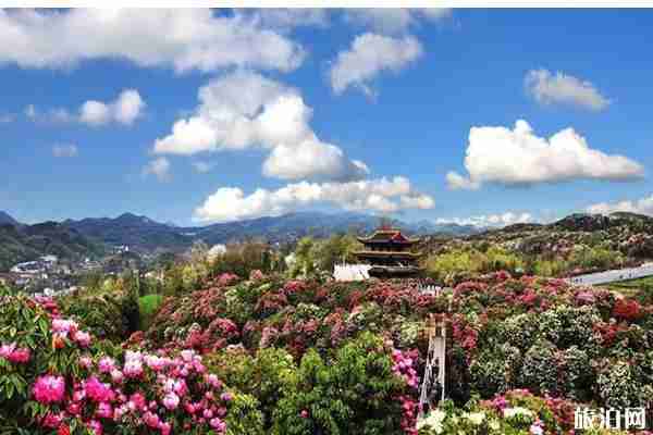 四月貴州哪里好玩