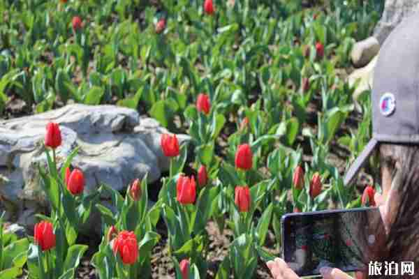 五道峽風景區(qū)游玩攻略 2020開放時間-門票優(yōu)惠政策