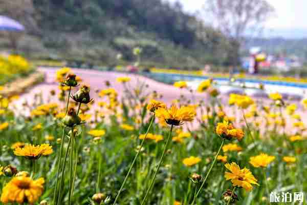 英山四季花海景區接介紹 2020開放時間-門票價格 英山四季花海景區接介紹 2020開放時間-門票價格