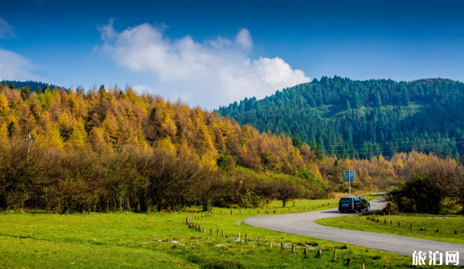 国内开放的景点有哪些 现在哪里的景点开放了