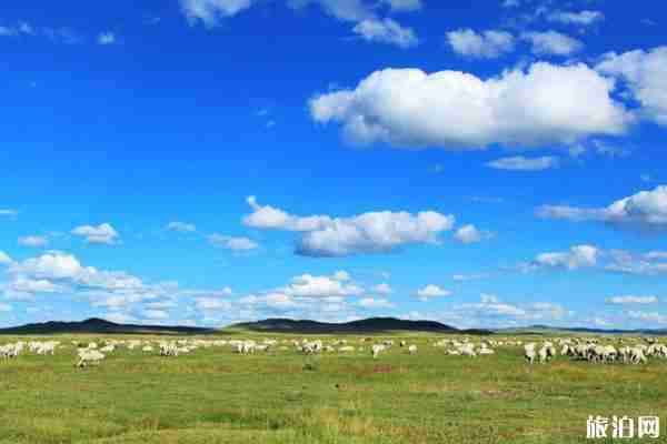 黑龍江省草原禁牧計劃 時間-地區名單