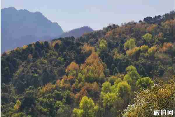 西安翠華山預(yù)約攻略 翠華山游玩攻略