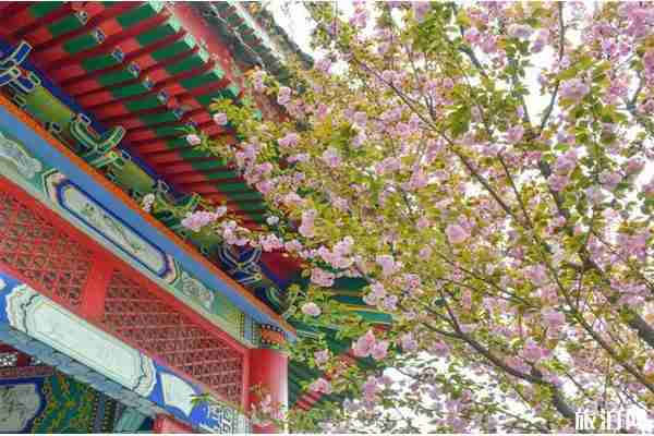 2020西安樓觀臺(tái)免費(fèi)預(yù)約 西安樓觀臺(tái)景區(qū)開放了嗎