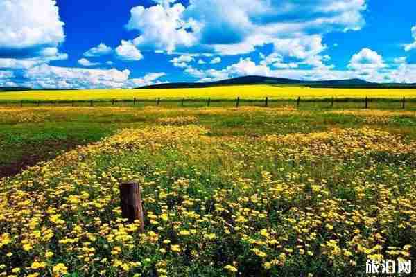 若尔盖大草原自驾游攻略 门票交通必备物品 若尔盖大草原自驾游攻略 门票交通必备物品