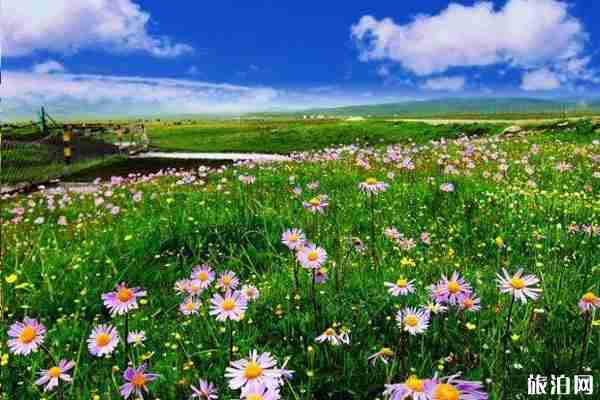 若尔盖大草原自驾游攻略 门票交通必备物品