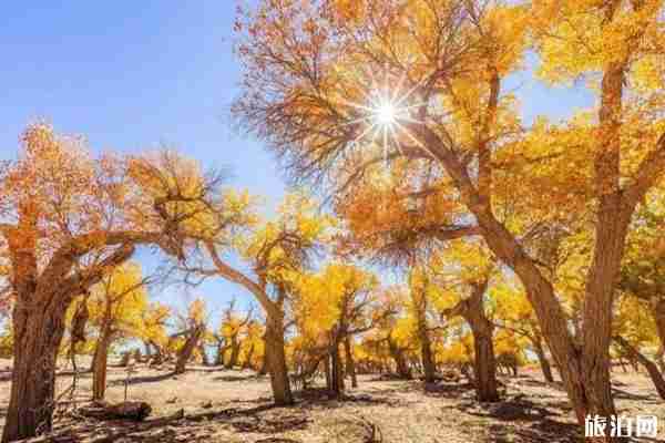 乌鲁木齐自驾游攻略 路线推荐 乌鲁木齐自驾游攻略 路线推荐