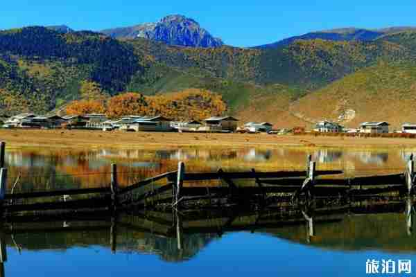 纳帕海网红公路在哪 纳帕海网红公路在哪