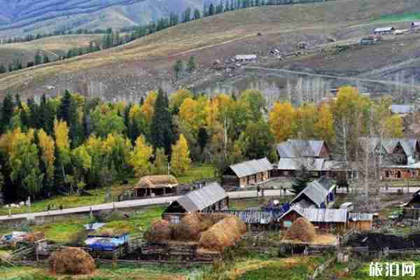 白哈巴景区有什么好看的 在哪里 白哈巴景区有什么好看的 在哪里