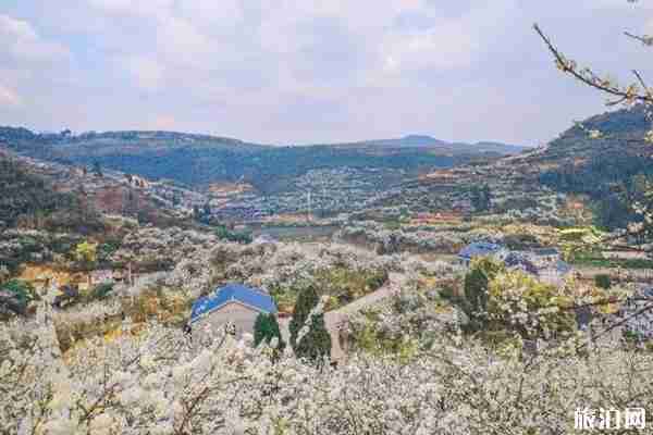 遵义周边赏花游玩景点推荐 遵义周边赏花游玩景点推荐