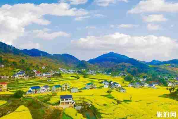 遵义周边赏花游玩景点推荐 遵义周边赏花游玩景点推荐