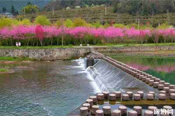 遵义周边赏花游玩景点推荐 遵义周边赏花游玩景点推荐