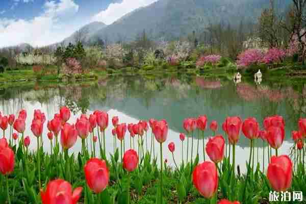 遵义周边赏花游玩景点推荐 遵义周边赏花游玩景点推荐