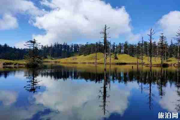 2020年瓦屋山门票怎么预定 瓦屋山一日游旅游攻略 2020年瓦屋山门票怎么预定 瓦屋山一日游旅游攻略