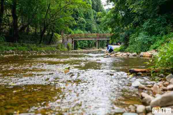 桃岭公路什么时候最美 桃岭公路什么时候最美