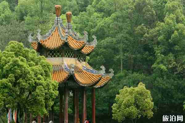 岑溪东山公园有什么玩的