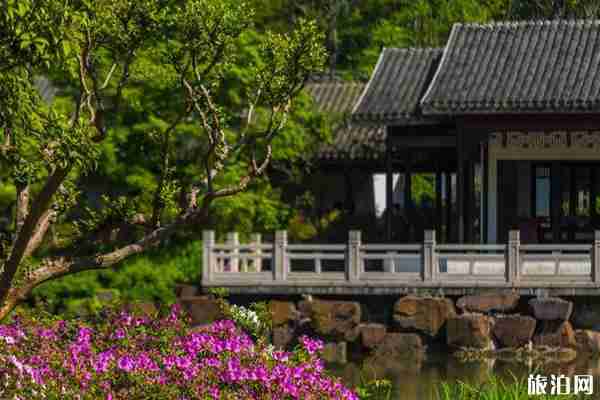 惠山古镇杜鹃花哪里有 无锡怎么去惠山古镇 惠山古镇杜鹃花哪里有 无锡怎么去惠山古镇