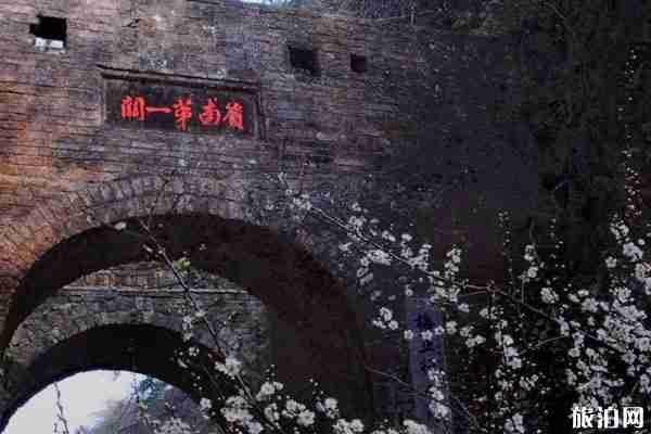 梅关古道梅花几时开 梅关古道梅花几时开