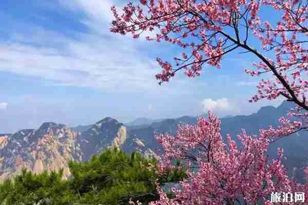 华山门票2020优惠政策 华山门票怎么预约 华山门票2020优惠政策 华山门票怎么预约