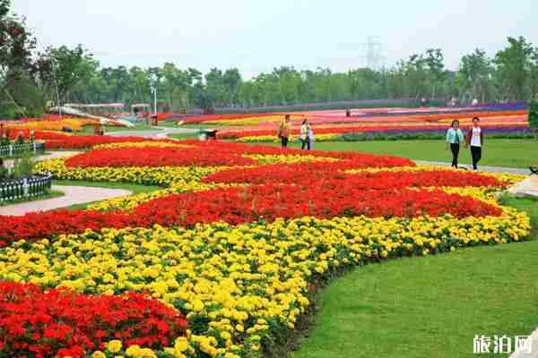 2020周浦花海现在还开放吗 上海周浦花海预约方式