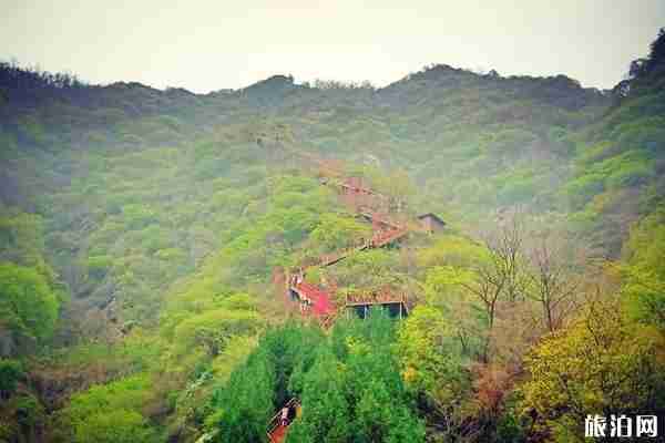 2020西安金龙峡风景区需要预约吗 西安金龙峡风景区怎么样 2020西安金龙峡风景区需要预约吗 西安金龙峡风景区怎么样