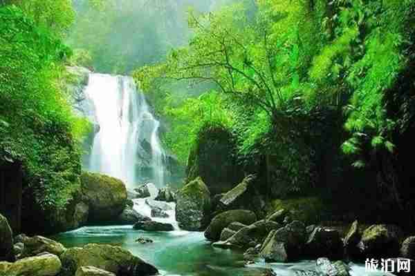 2020太平国家森林公园免费预约 太平国家森林公园怎么样