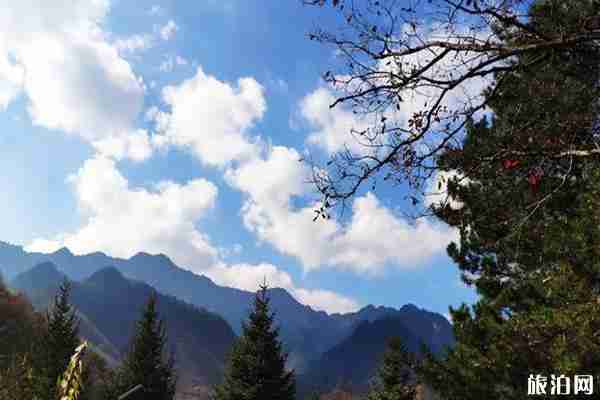 2020朱雀国家森林公园预约方式 朱雀国家森林公园怎么样 2020朱雀国家森林公园预约方式 朱雀国家森林公园怎么样