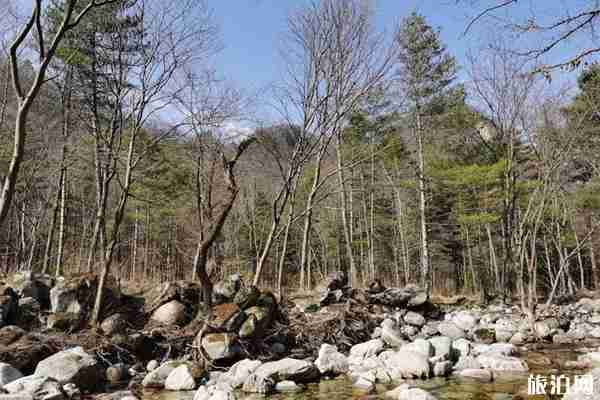 2020朱雀国家森林公园预约方式 朱雀国家森林公园怎么样 2020朱雀国家森林公园预约方式 朱雀国家森林公园怎么样