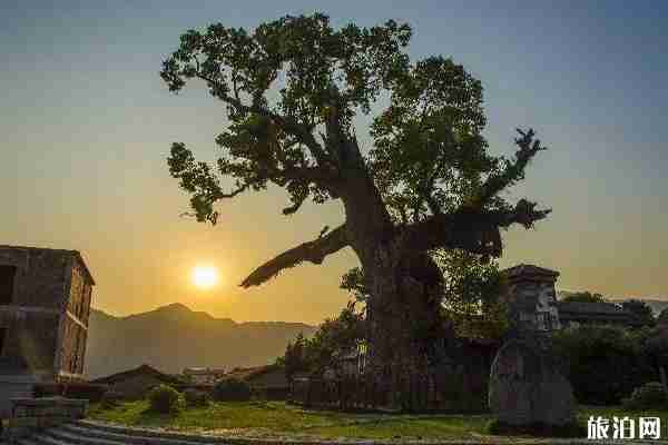 2020福建十里蓝山开放了吗 福建十里蓝山旅游攻略 2020福建十里蓝山开放了吗 福建十里蓝山旅游攻略