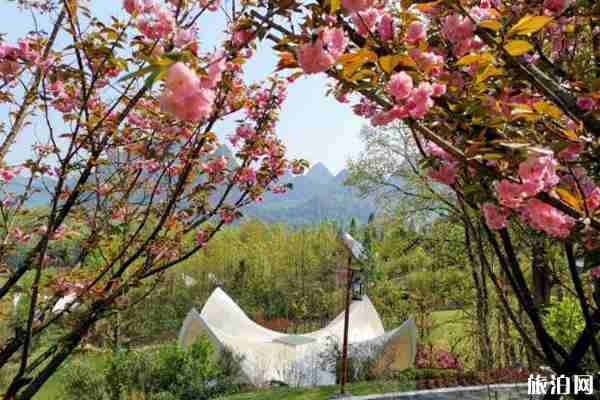 2020年五一紫云格凸河门票优惠政策