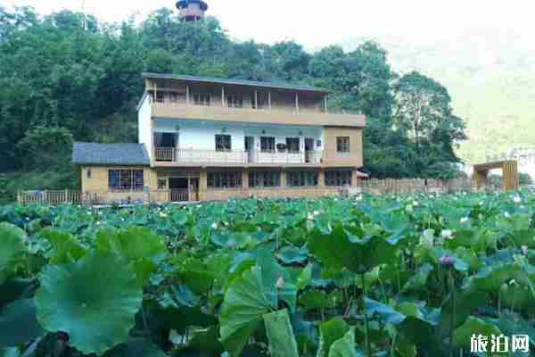 2020年五一紫云格凸河门票优惠政策