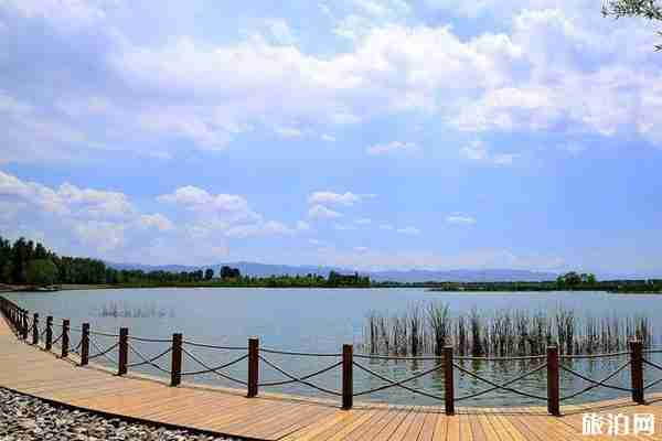 北京延庆野鸭湖预约方式2020 野鸭湖湿地公园观鸟攻略 北京延庆野鸭湖预约方式2020 野鸭湖湿地公园观鸟攻略
