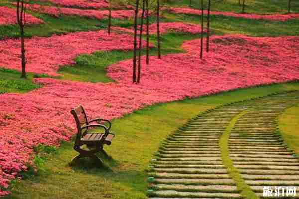 太平湖森林小镇在哪里 太平湖森林小镇风景介绍